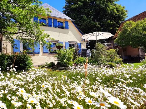 Der Garten, ideal zum Relaxen