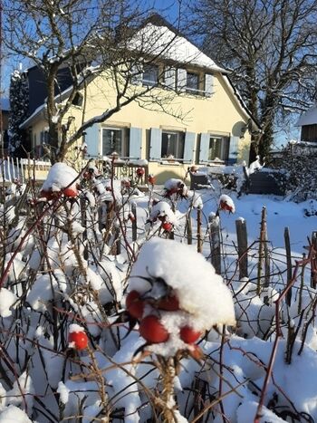 Winter am Ferienhaus 