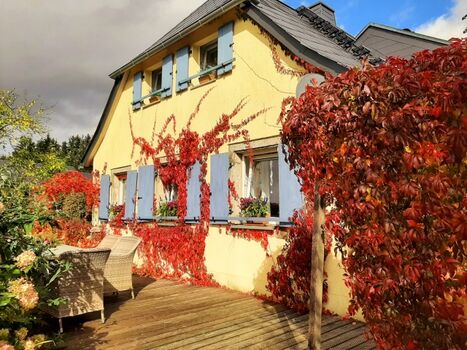 Der Wein verfärbt sich 