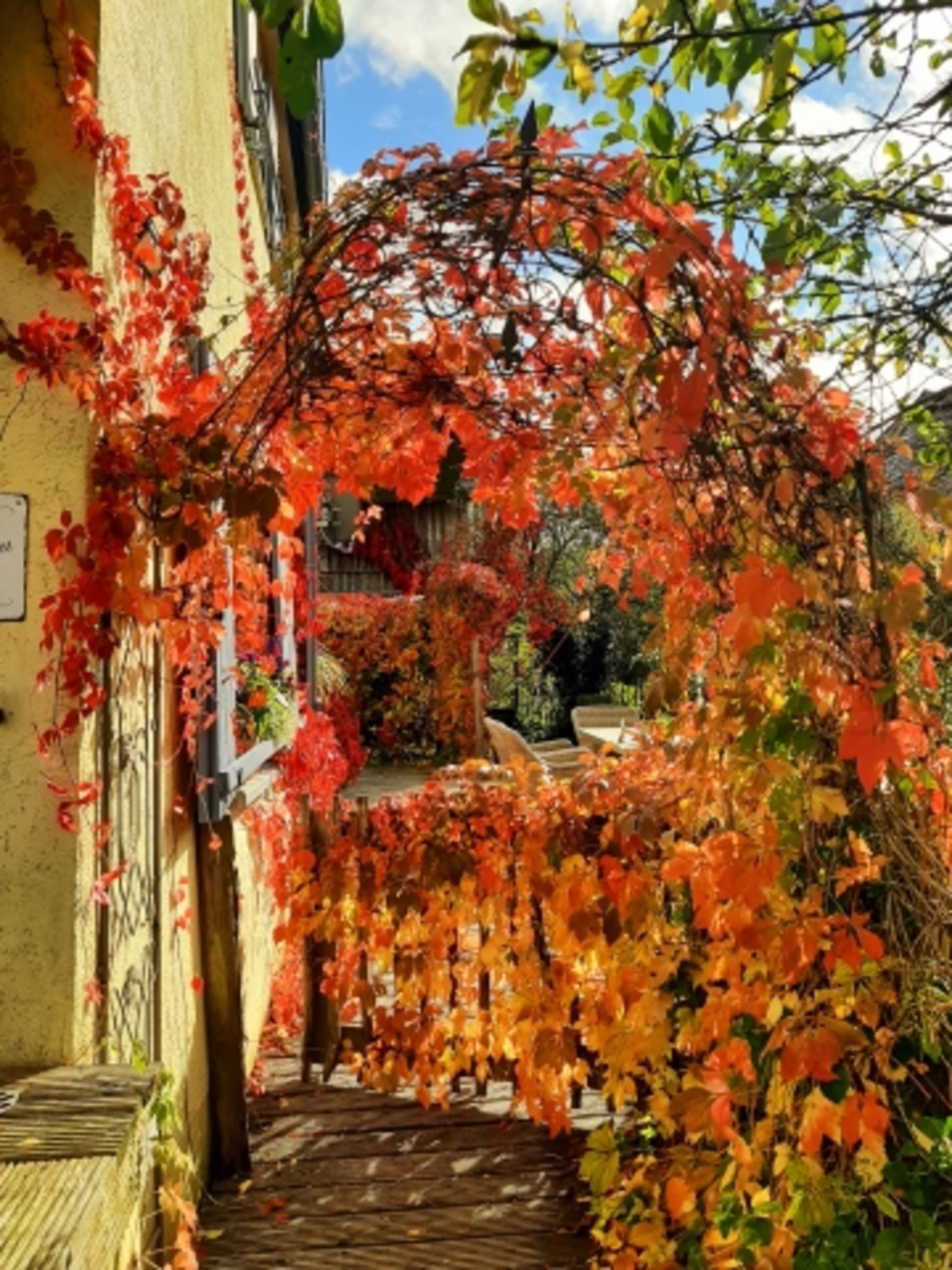 Herbststimmung