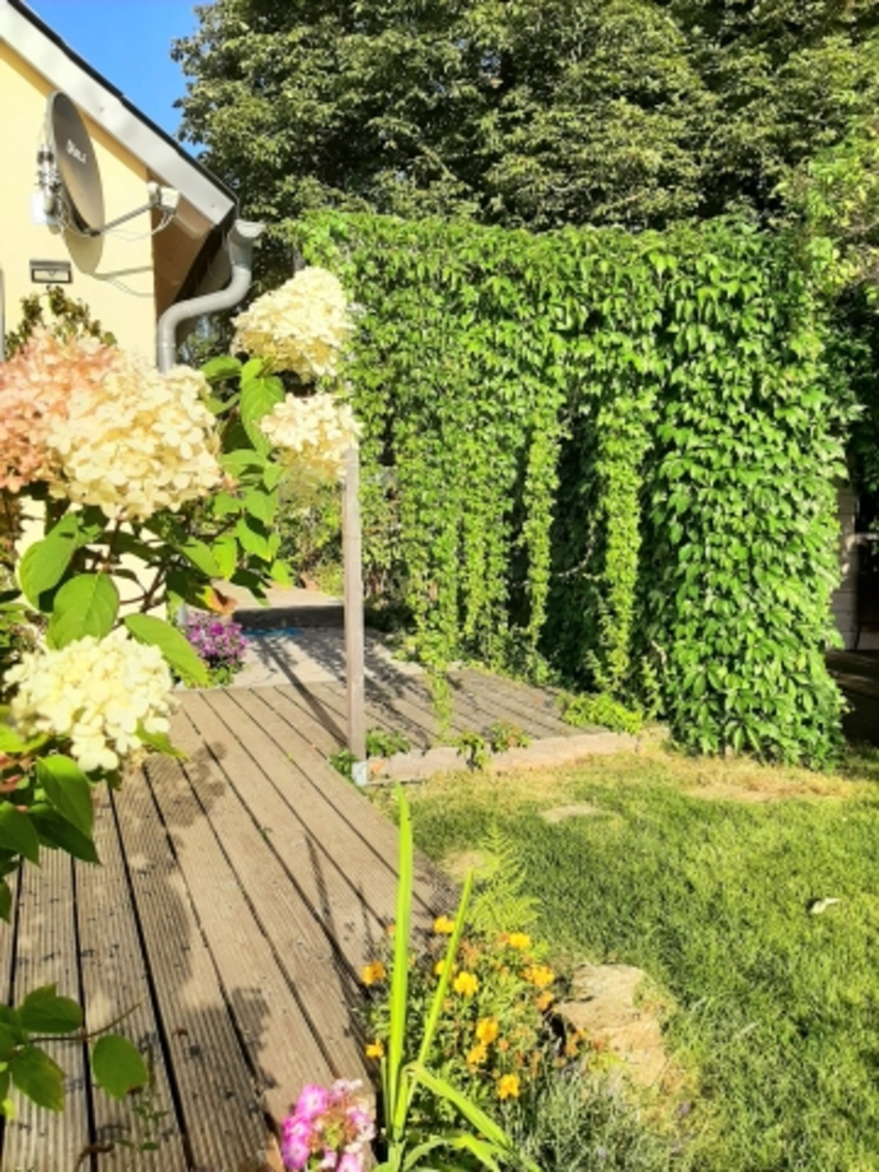 Gartenidylle 