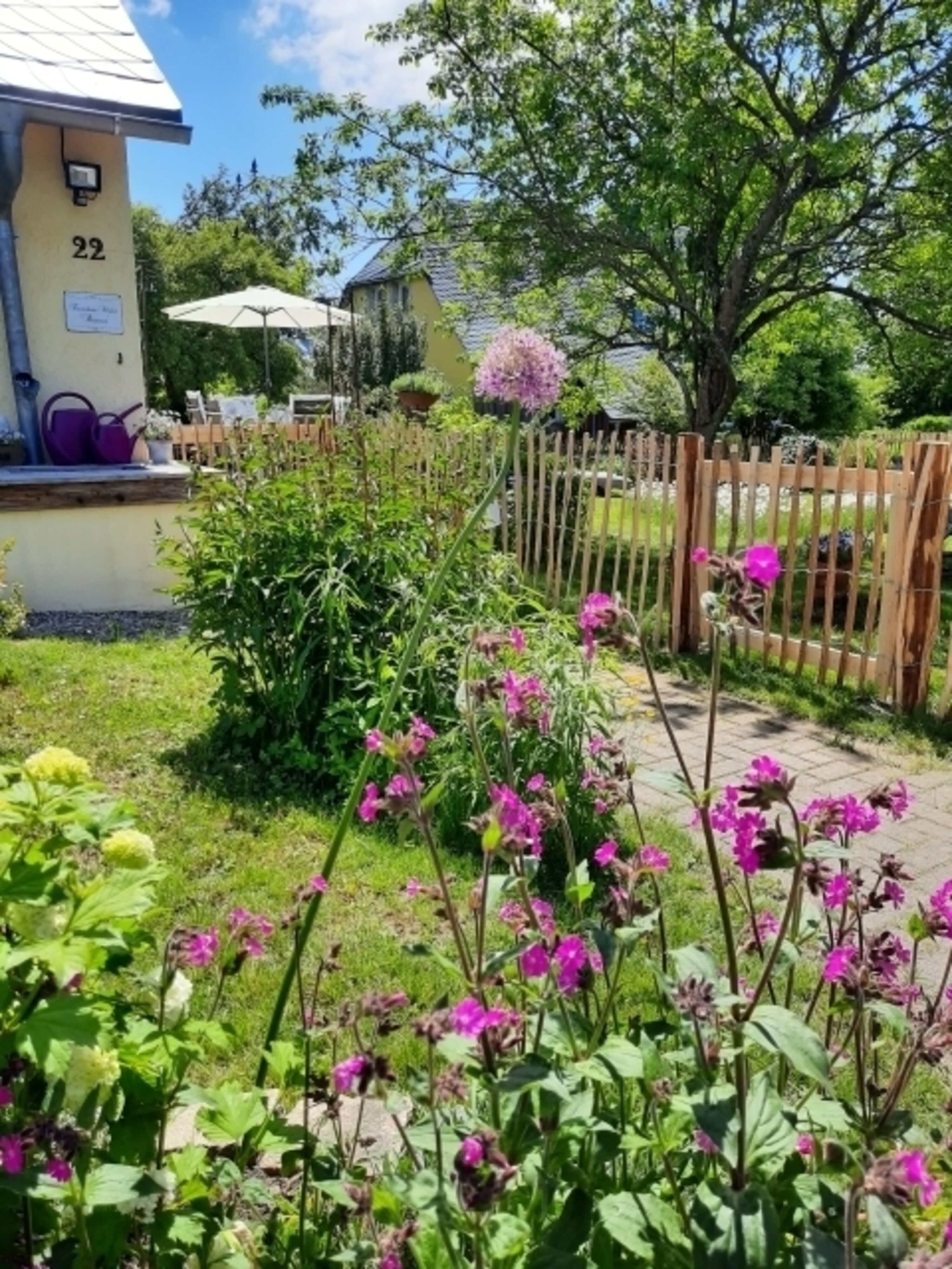 Weg zum Eingang 