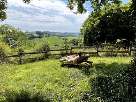 Gartenbereich unter der Linde