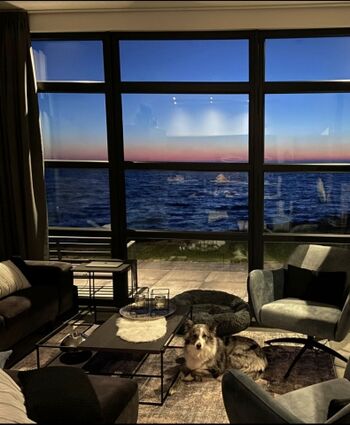 Abendstimmung  -einfach nur schön ?