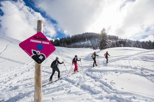 Schönes Schneeschuhgebiet