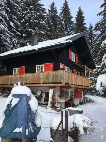 Chalet vom Garten aus
