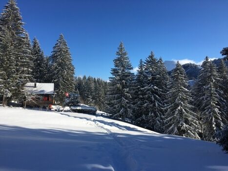 Chalet von der Almweide aus gesehen