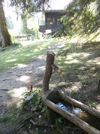 Eingang ins Grundstück