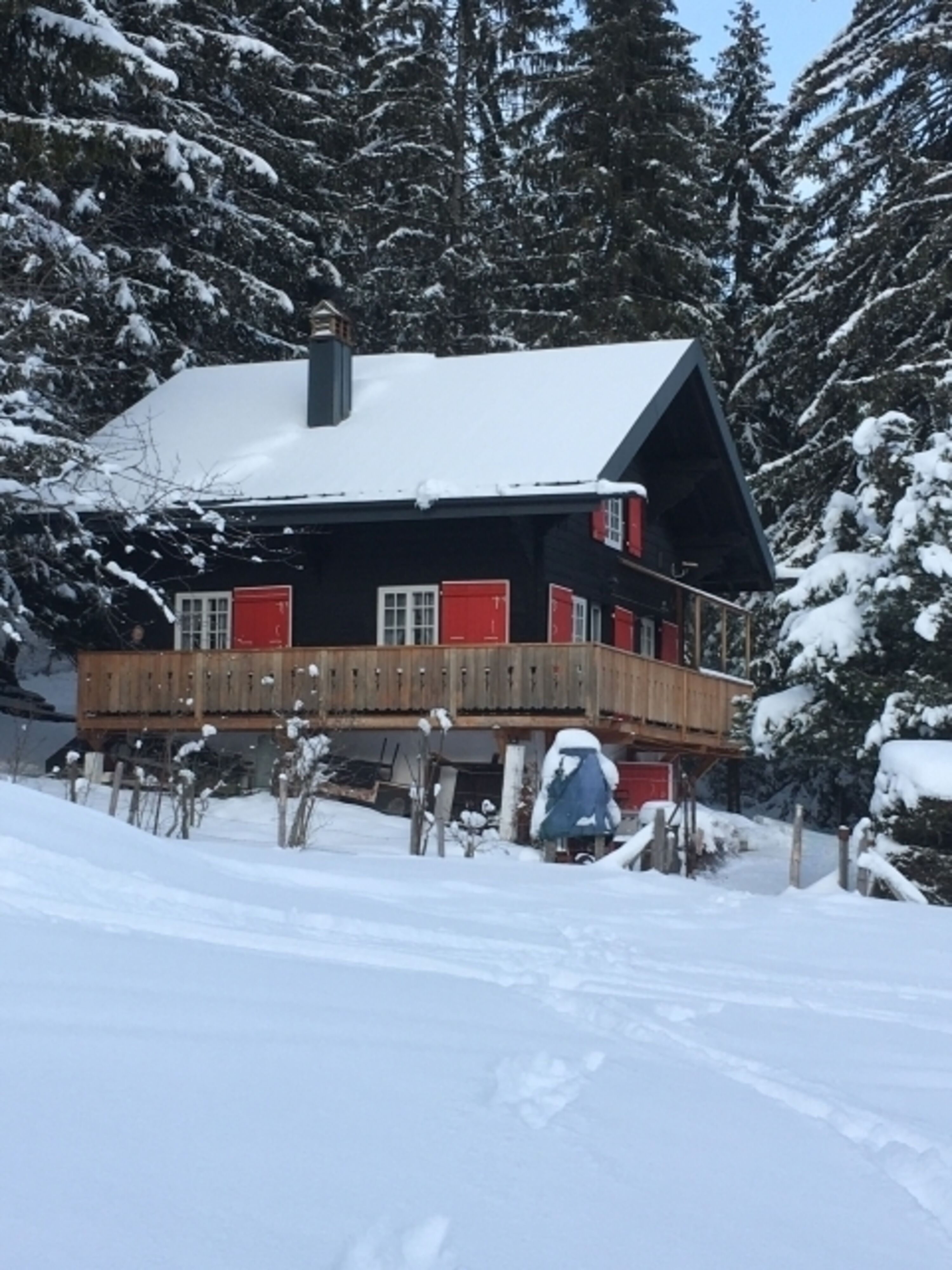 Chalet vom Garten aus