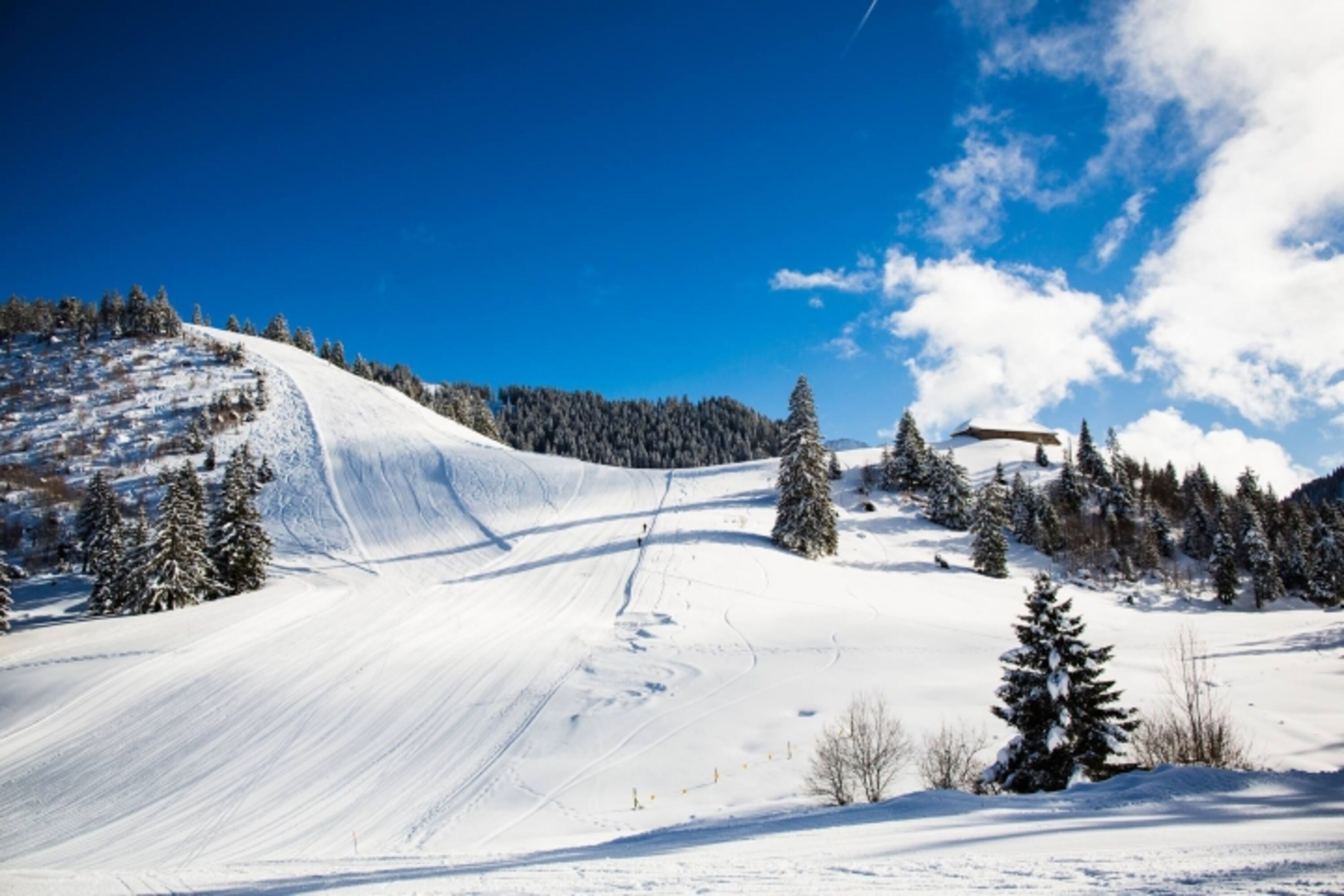 Schneeschuhwandern