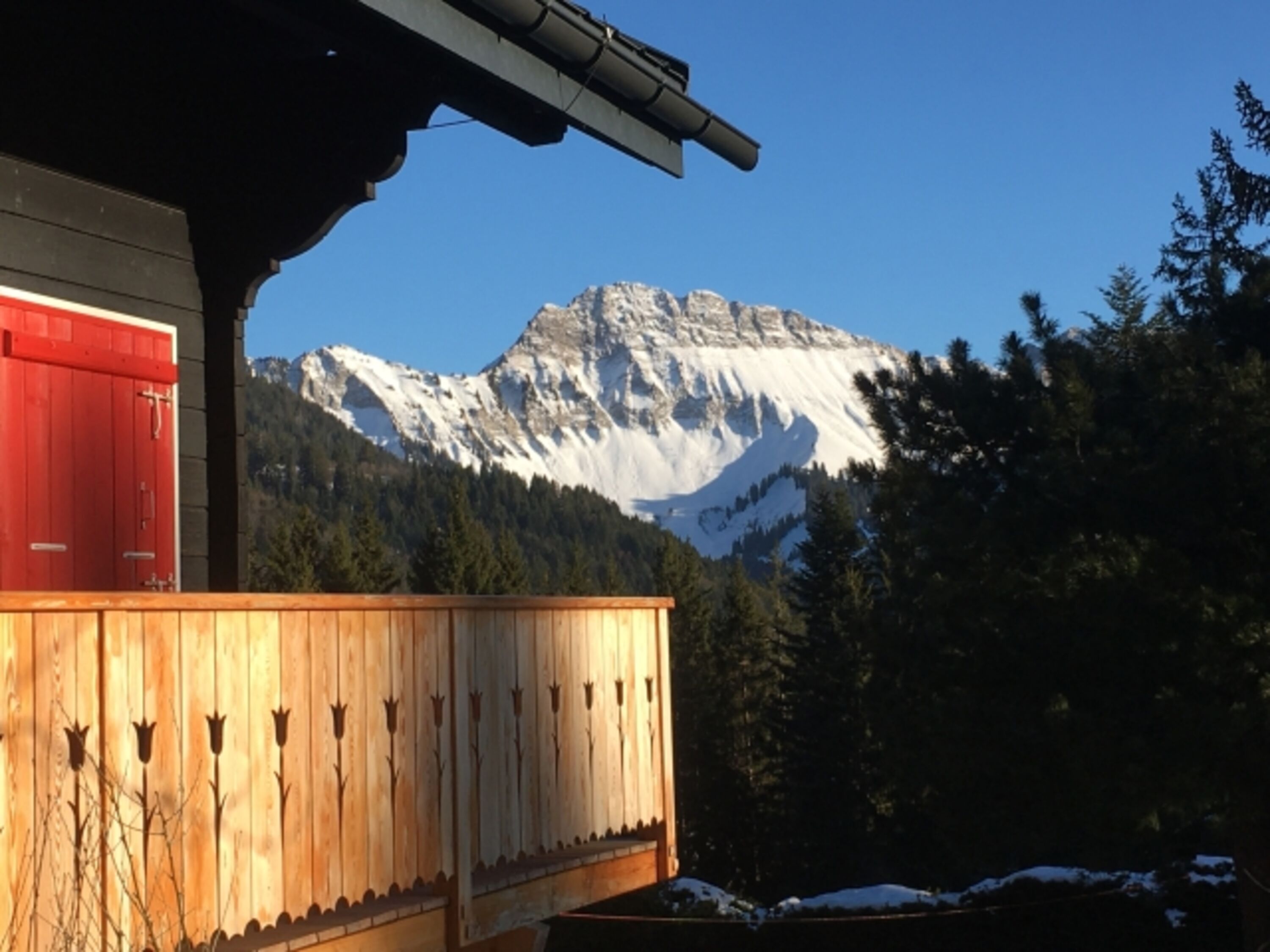 Aussicht vom Garten