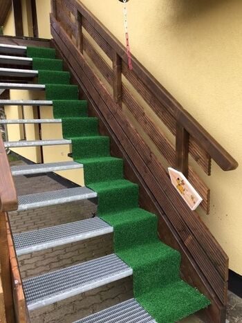 Hundefreundliche Außentreppe  Typ 1 oben