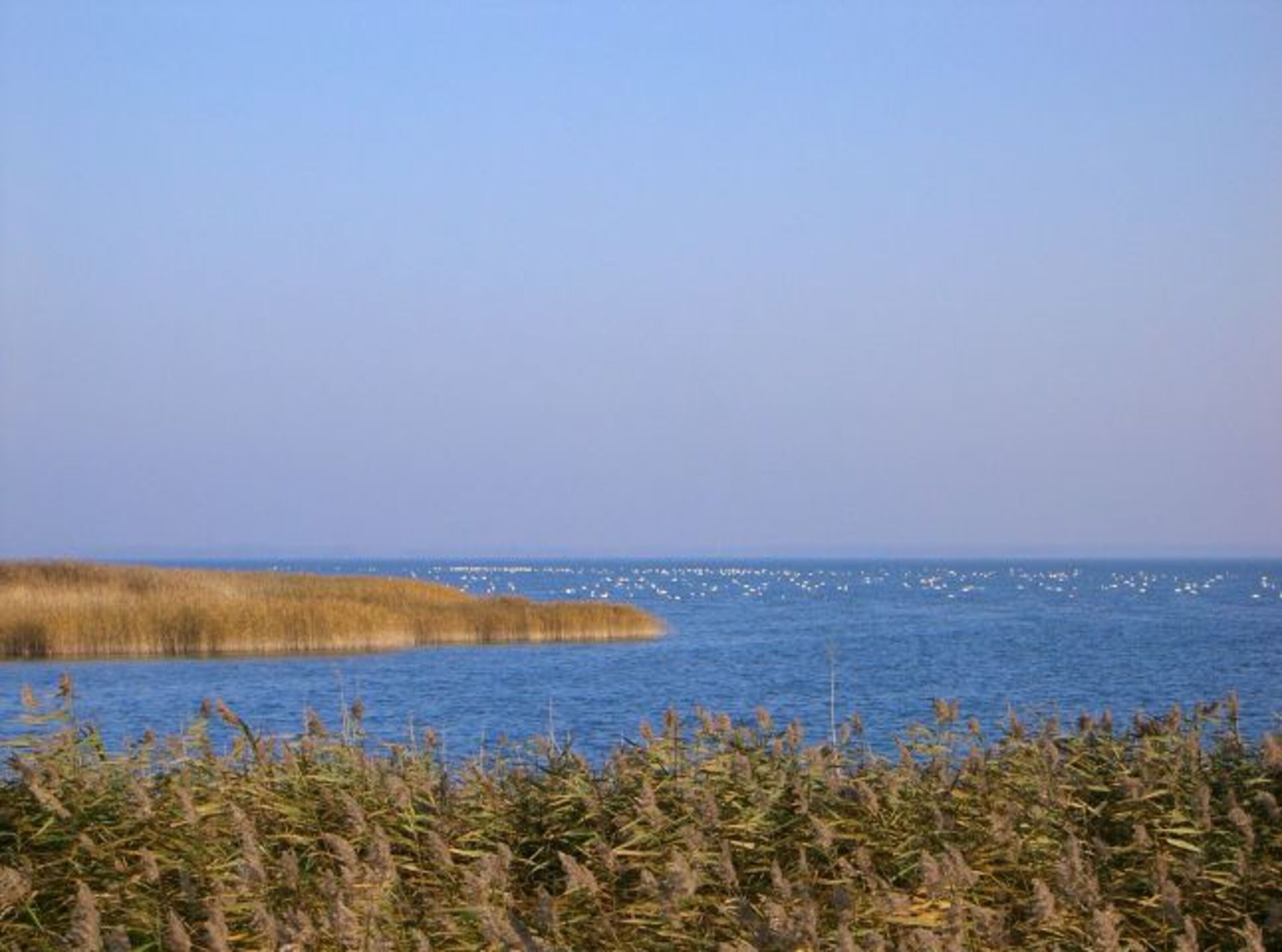 Bodden