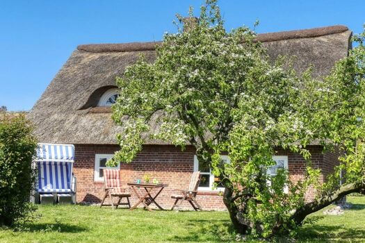 Idyllische Reetdachkate Haubarg-Kieker