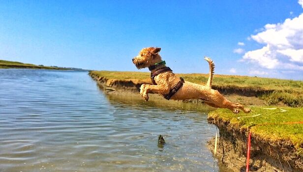 Ferienhaus Haubarg-Kieker Spaß am Deich