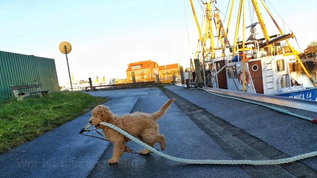 Ferienhaus Haubarg-Kieker Spaß am Hafen