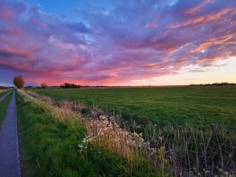 Ferienhaus Haubarg-Kieker Spazierweg am Haus