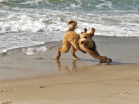Ferienhaus Haubarg-Kieker Spaß am Strand
