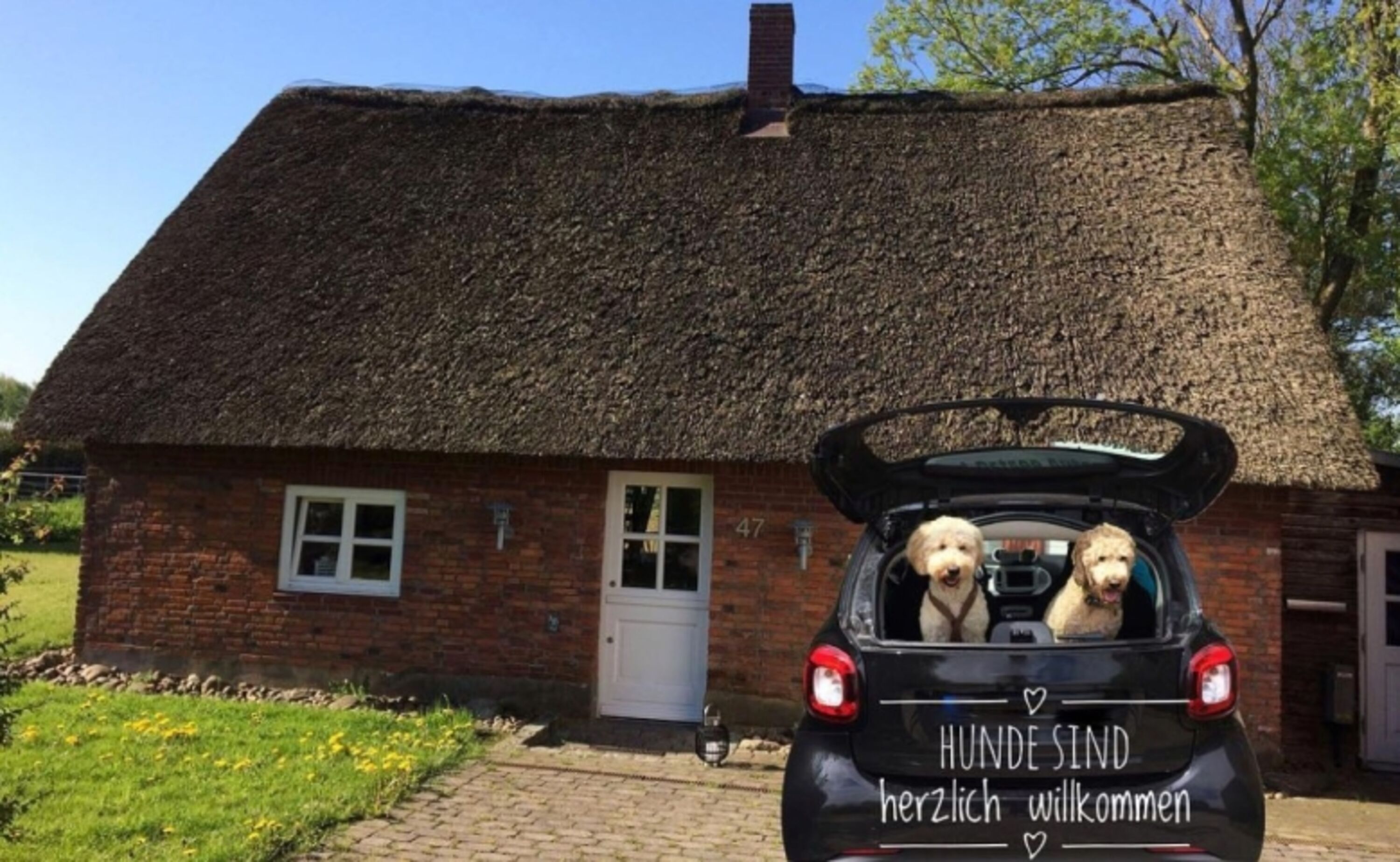 Urlaub mit Hund