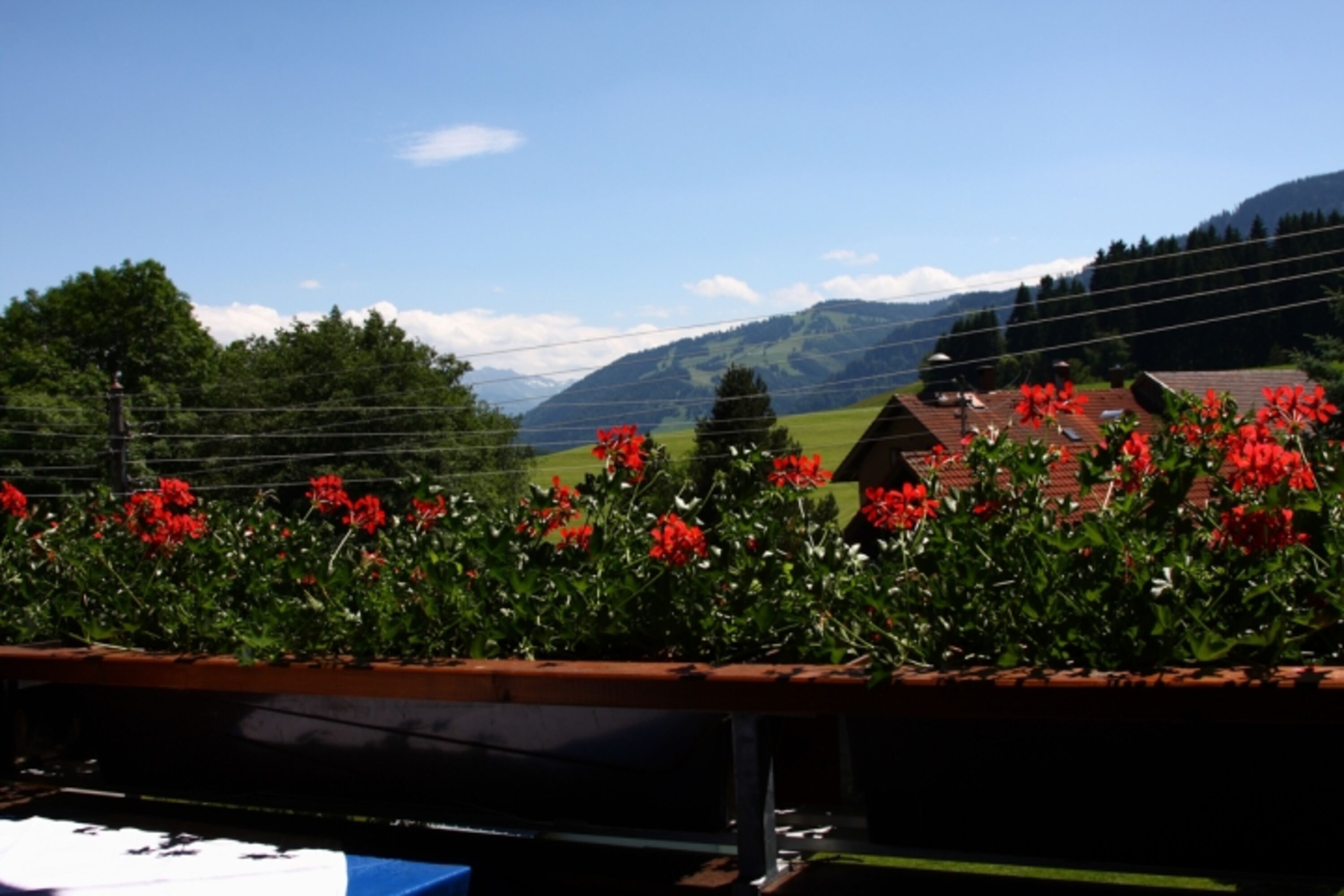 Ausblick Balkon