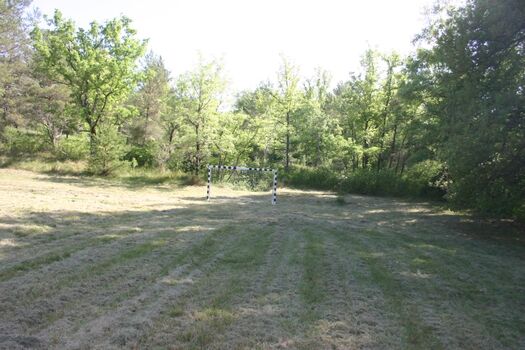 Wiese mit Fussballtor