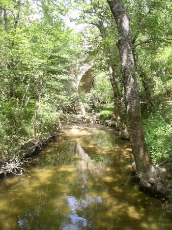 Bach mit alter Brücke