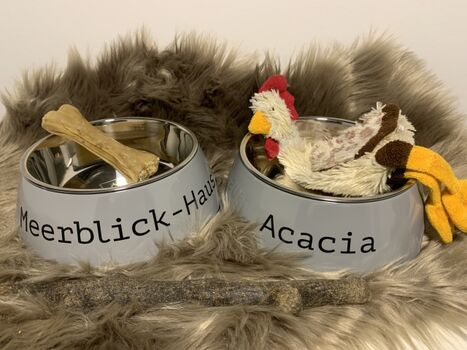 Näpfe für Fellnasen 