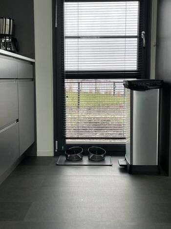 Hundestation in der Küche