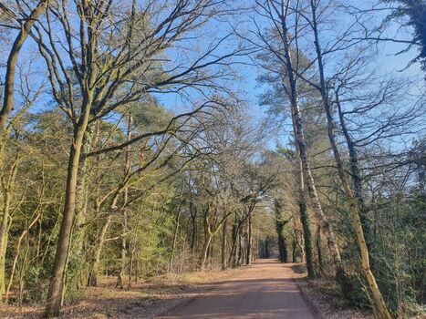 Zufahrt zum Ferienhaus