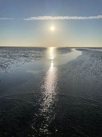 unser Wattenmeer