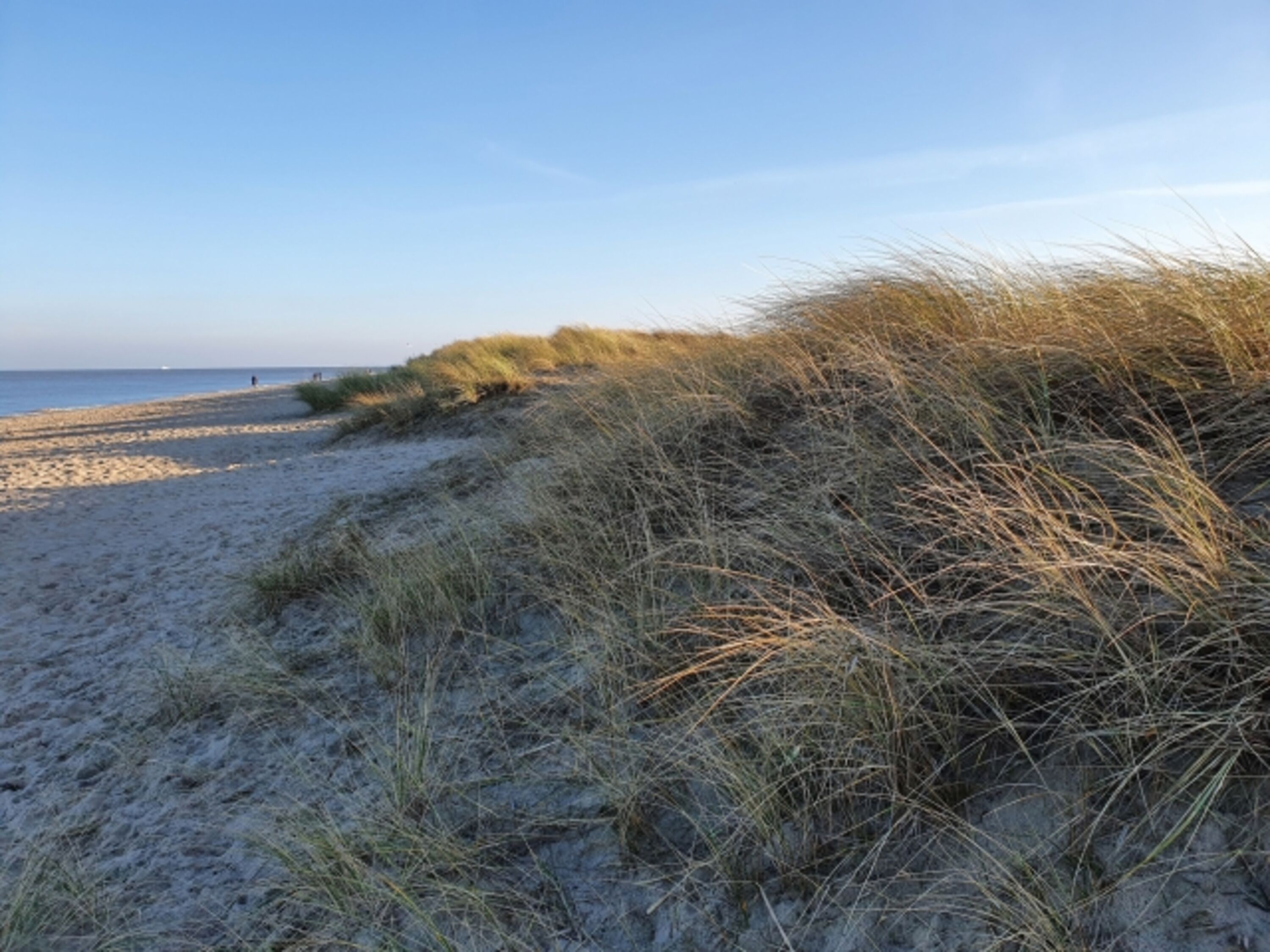 am Strand