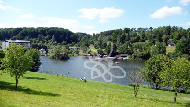 Ideale Badestelle für den Hund