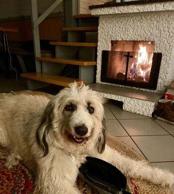 Schön kuschelig hier:-)