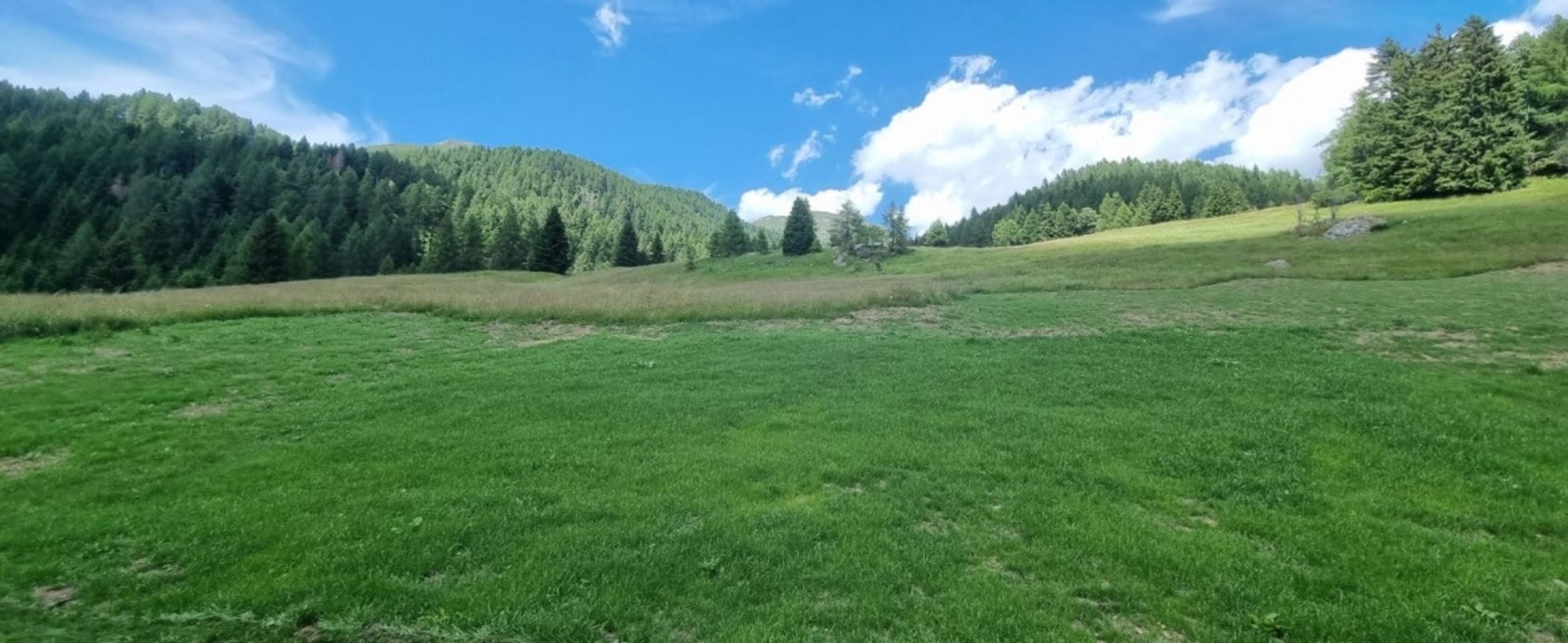 Bild 16