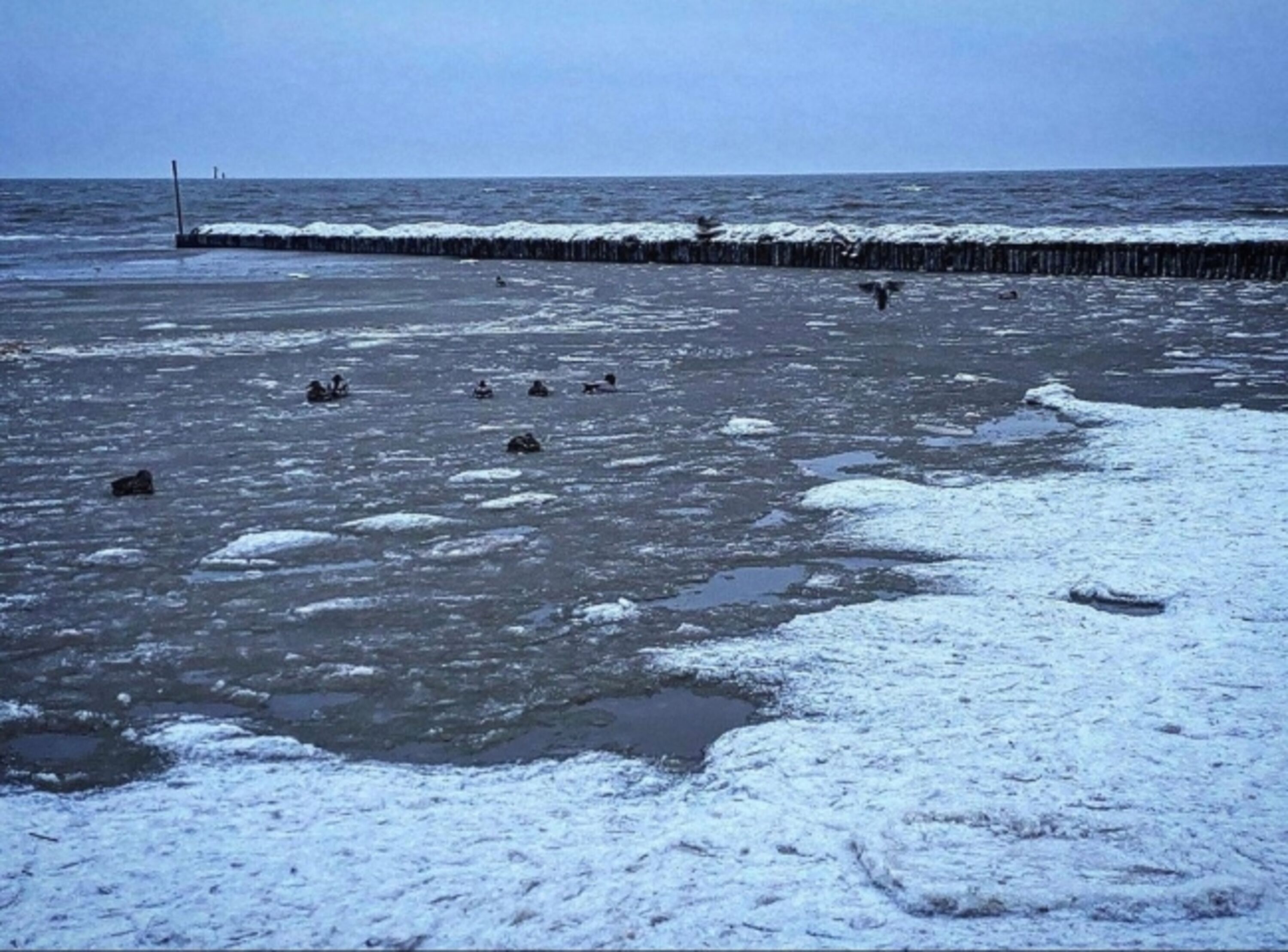 Winterstimmung 