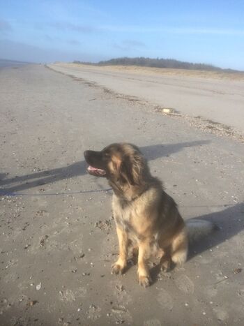 ..und den Wind am Strand.