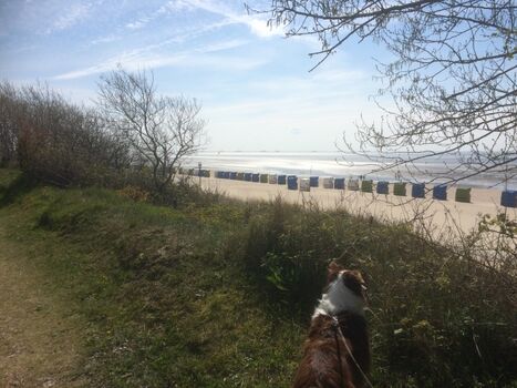 Genießen sie die schönen Spazierwege am Strand entlang