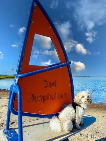 Ob ich auch das Surfen ausprobieren kann???