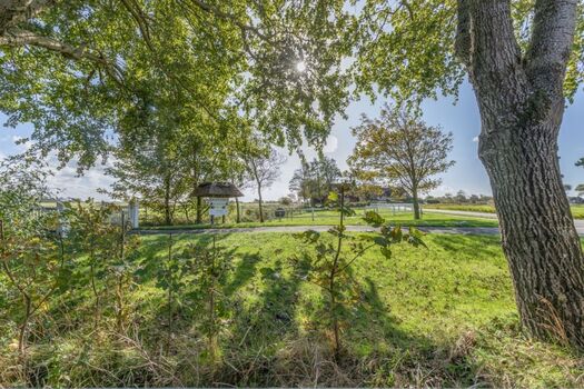 Andrea - Hier erleben Sie Ruhe und Entspannung !