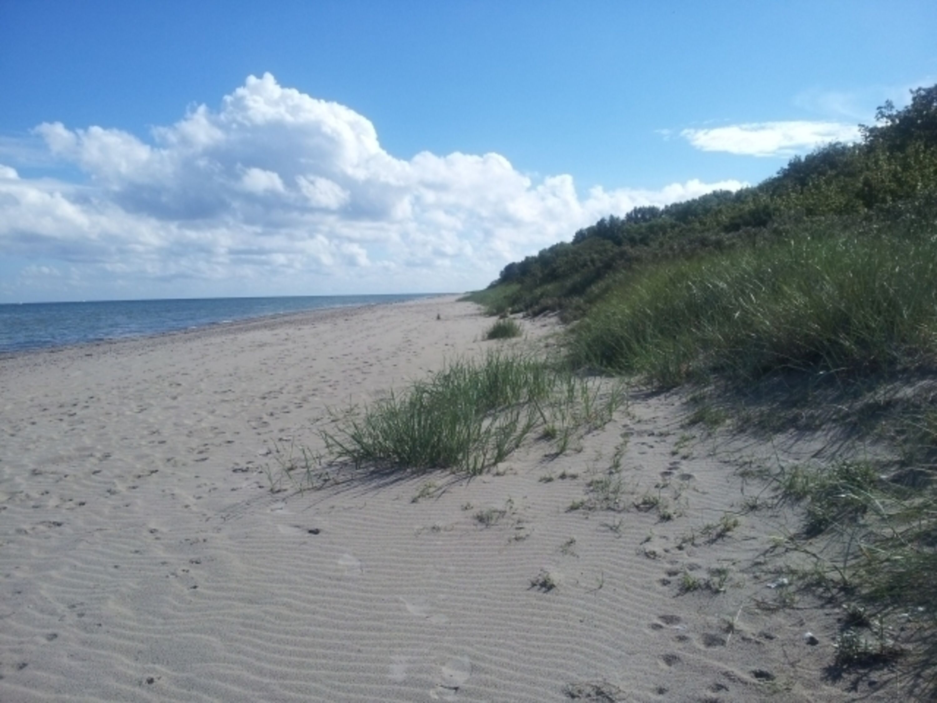 Strand