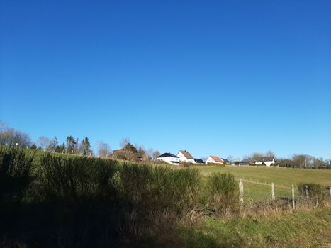 Schüller während dem Spaziergang