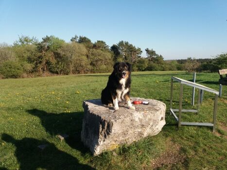 Aussichtspunkt  Steinbüchel