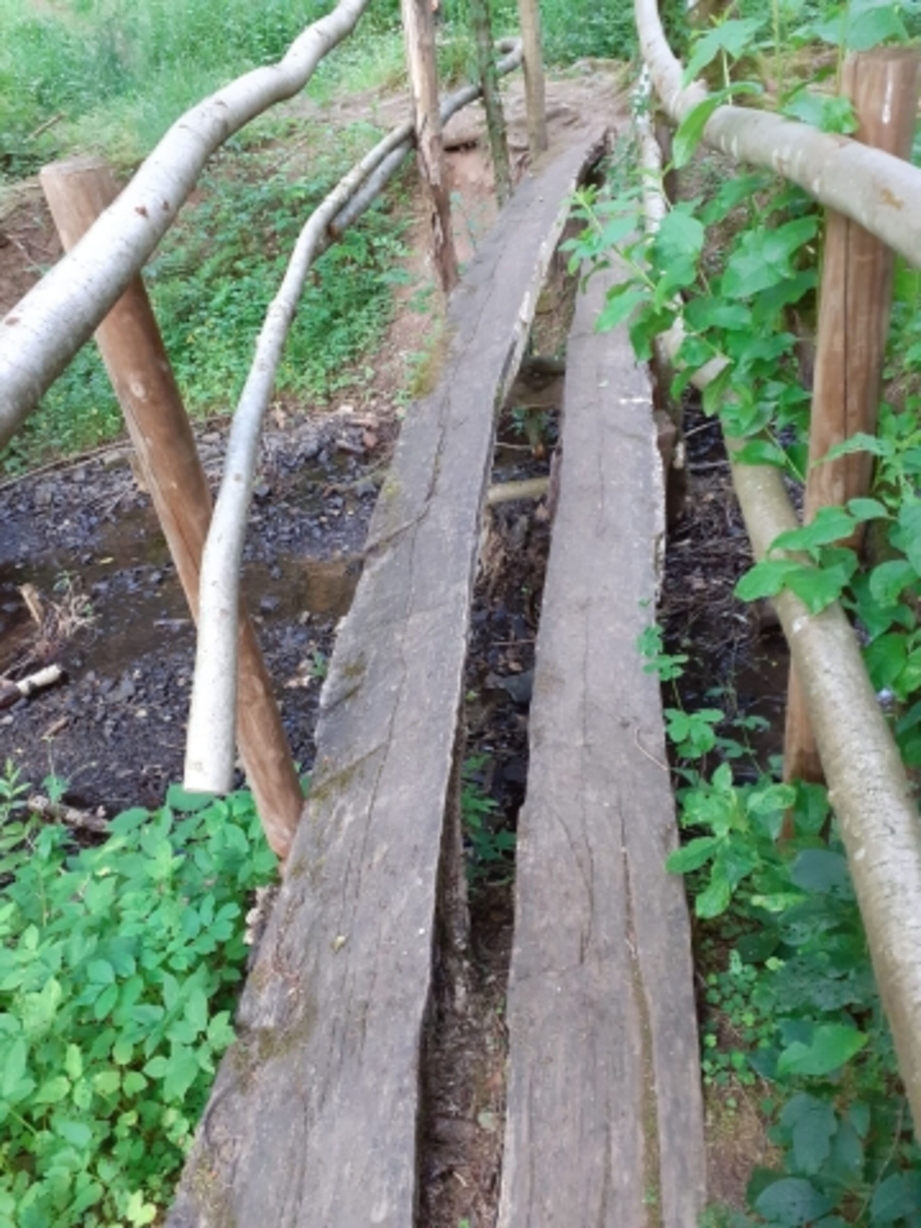Brückelchen-Wanderweg