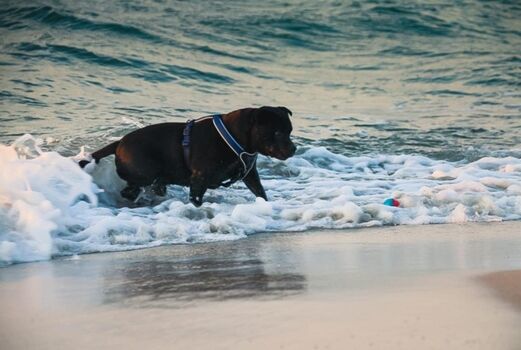 Ostsee Strand Impressionen