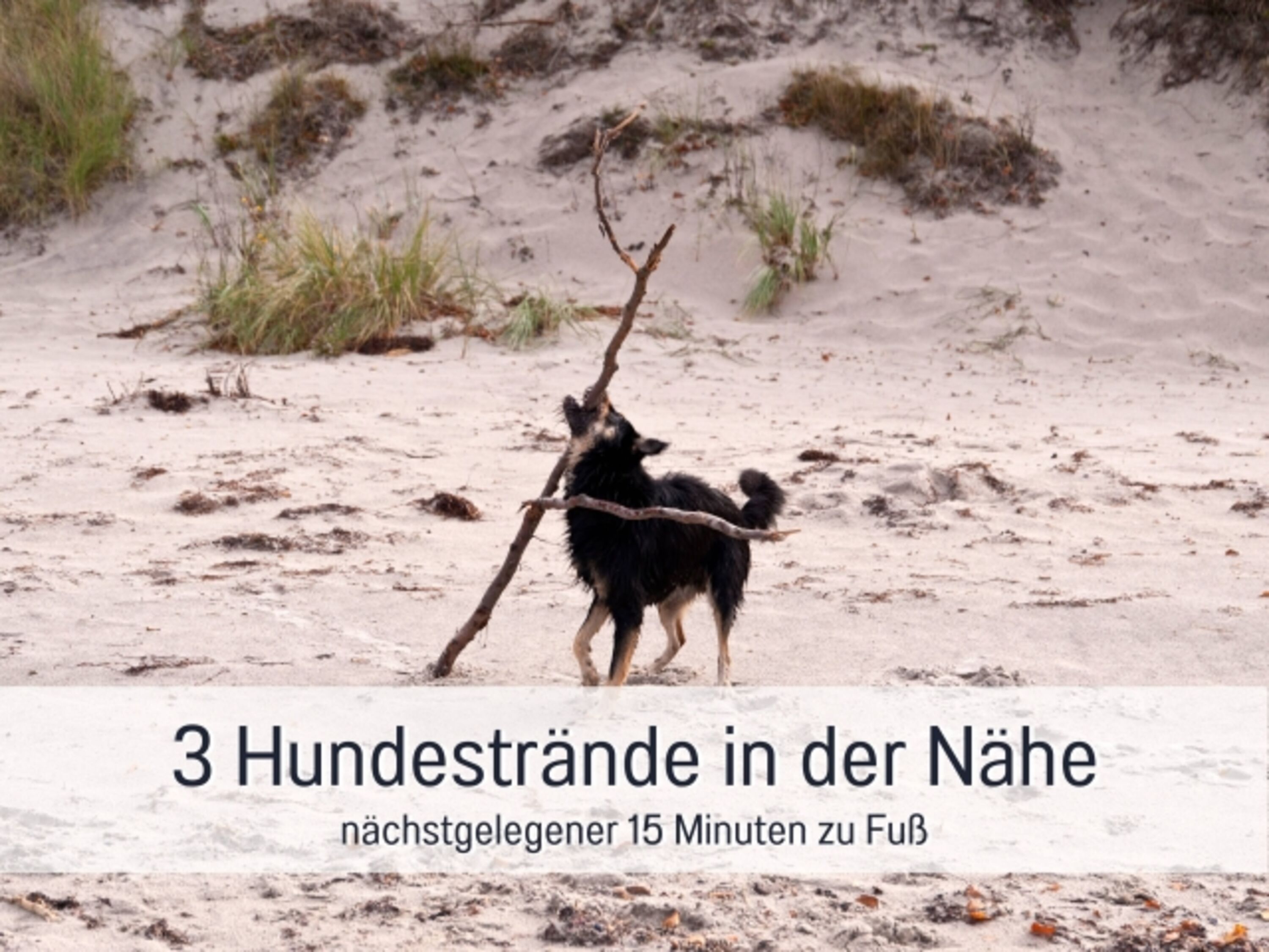 Bild 28