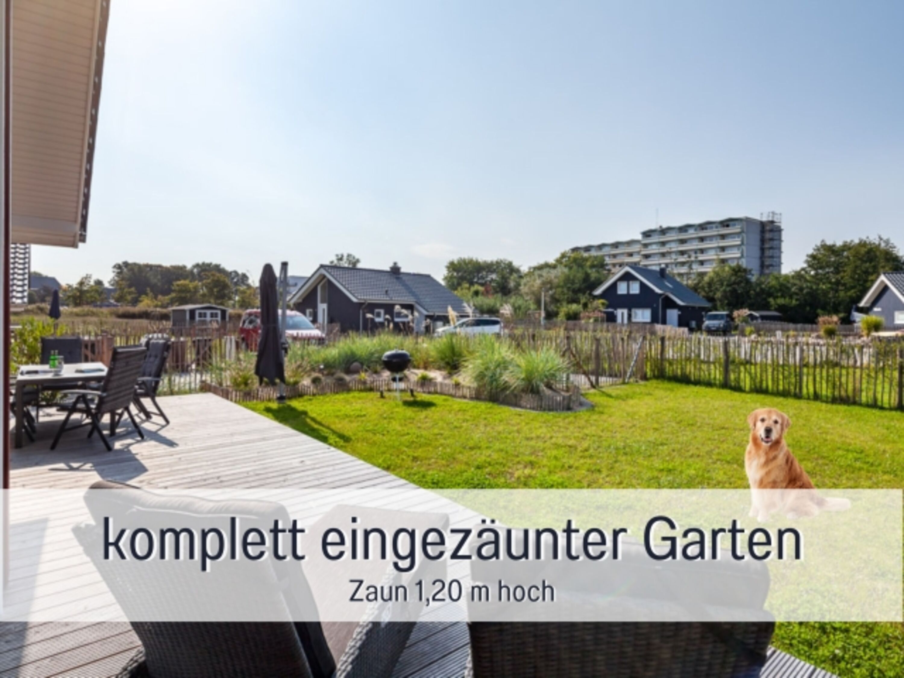 Bild 19