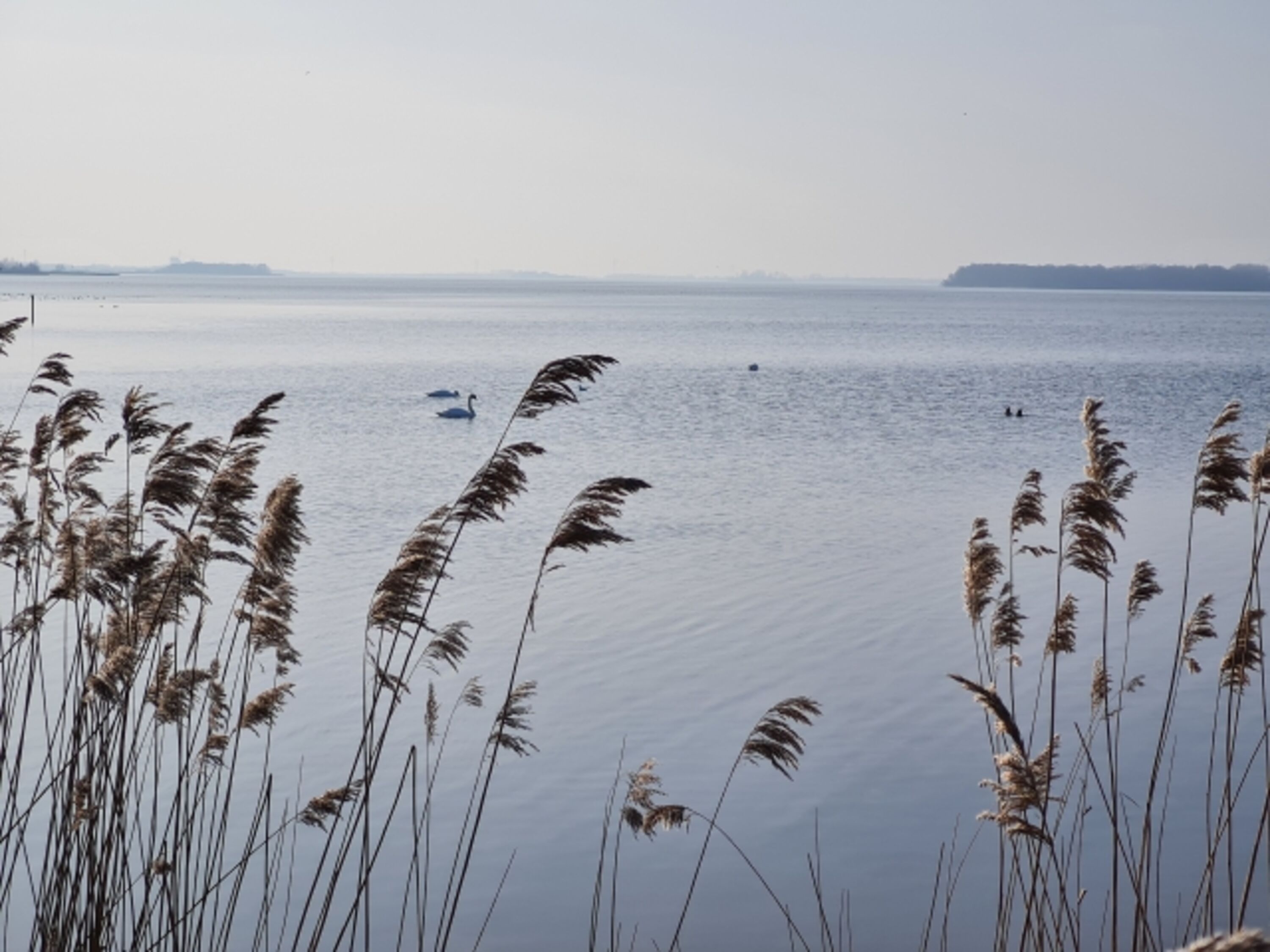 Veluwemeer