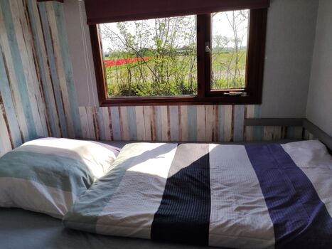 Mit Blick auf die Blumenfelder.