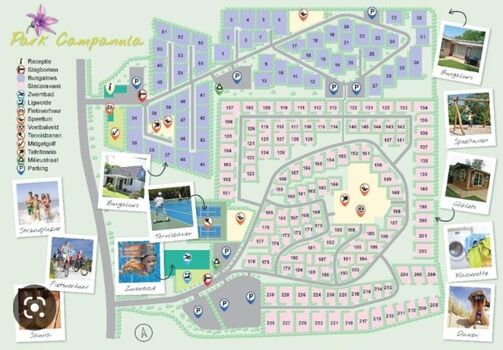 Park Campanula ..... Charlet Nr. 199