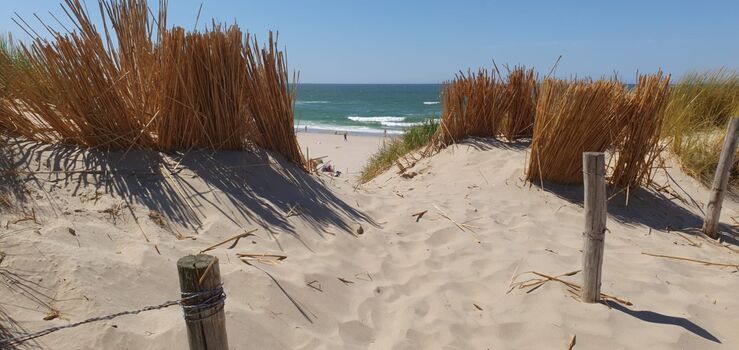 ...mehr vom Meer sehen!